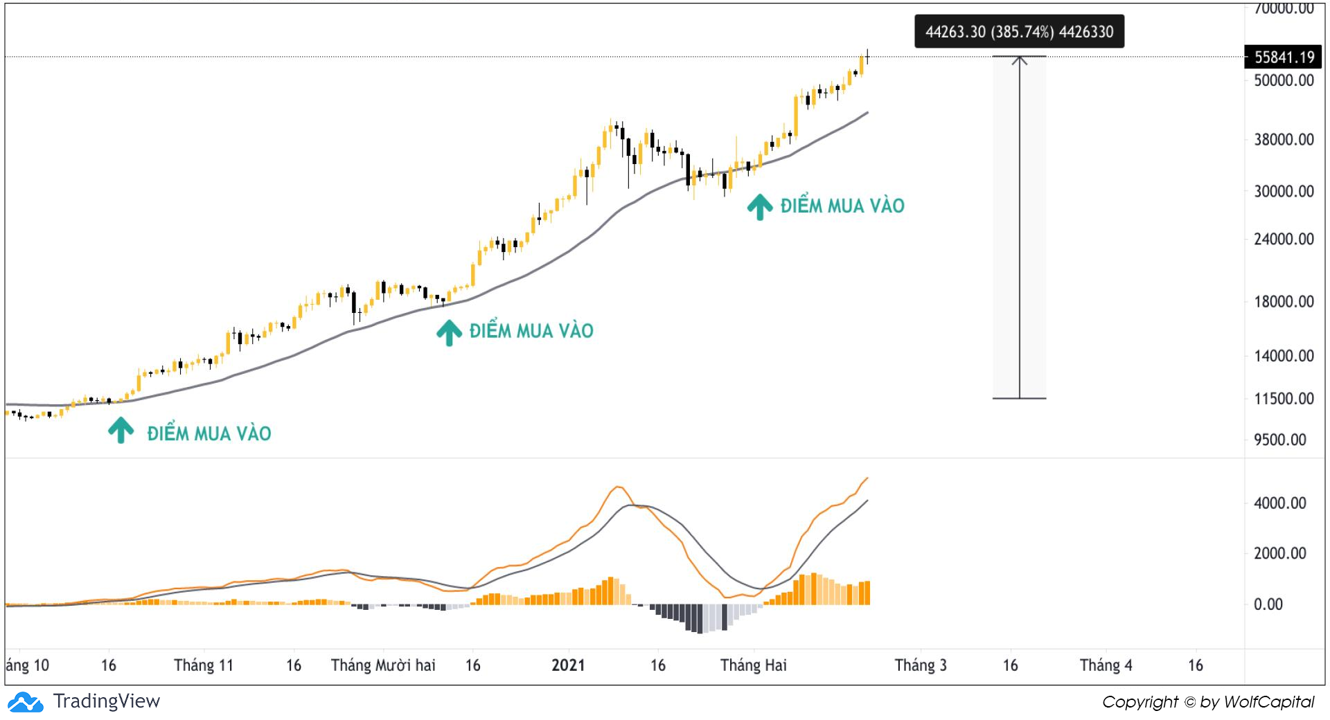 Chart BTC/USDT (D)