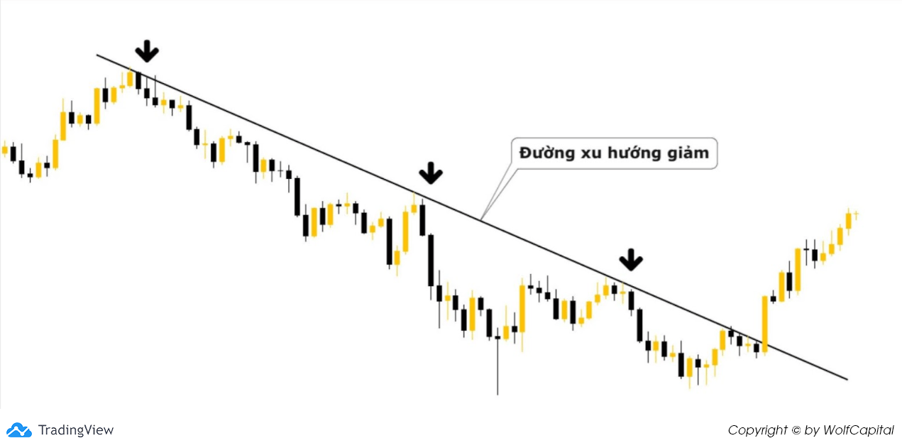 Trendline cơ bản trong xu hướng giảm