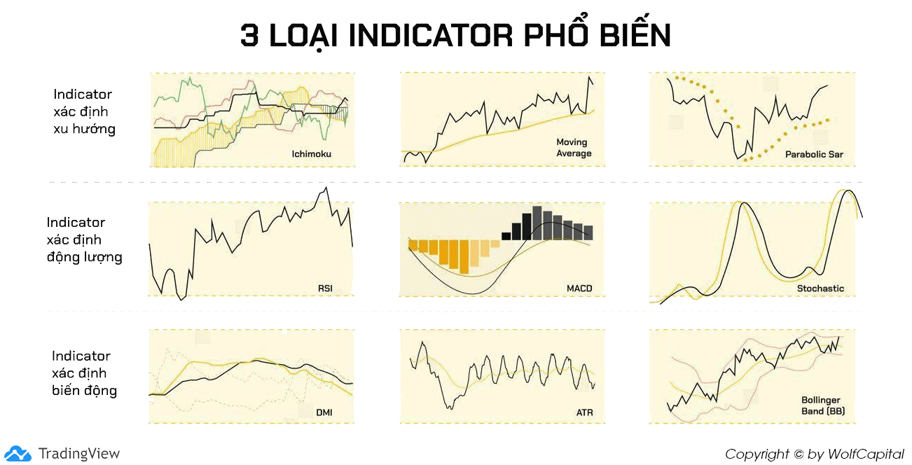 Các loại chỉ báo phổ biến