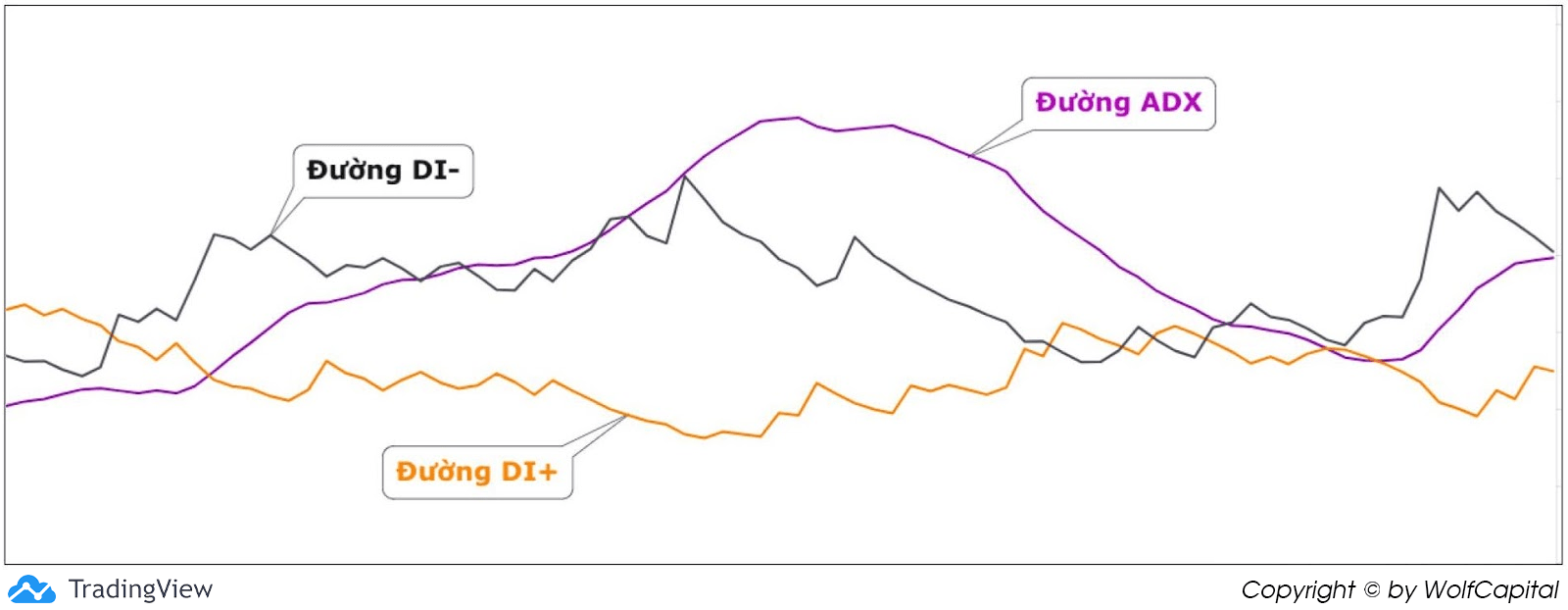 Chỉ báo Directional Movement Index (DMI)