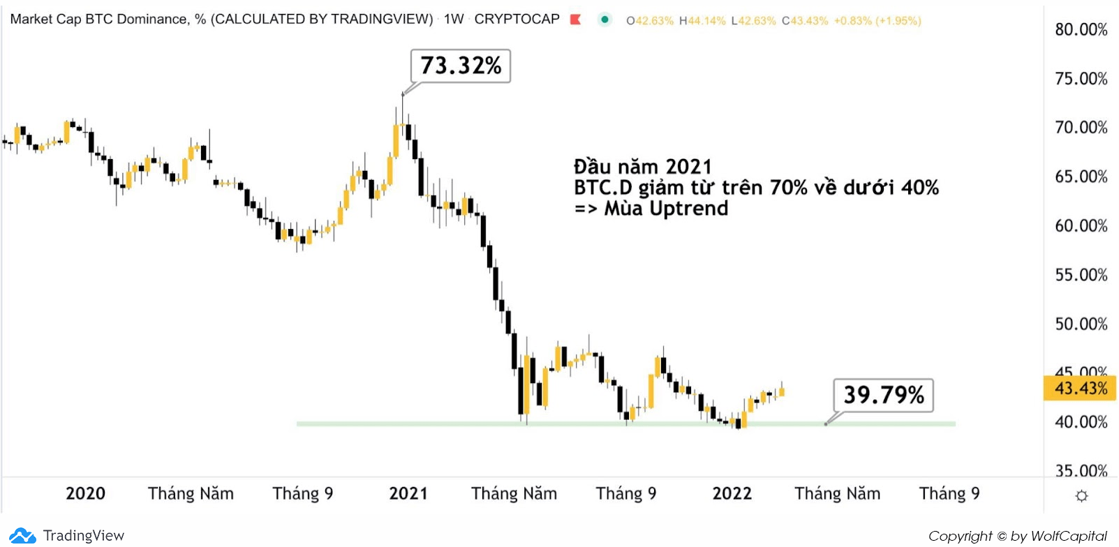 Thị phần Bitcoin giảm dần