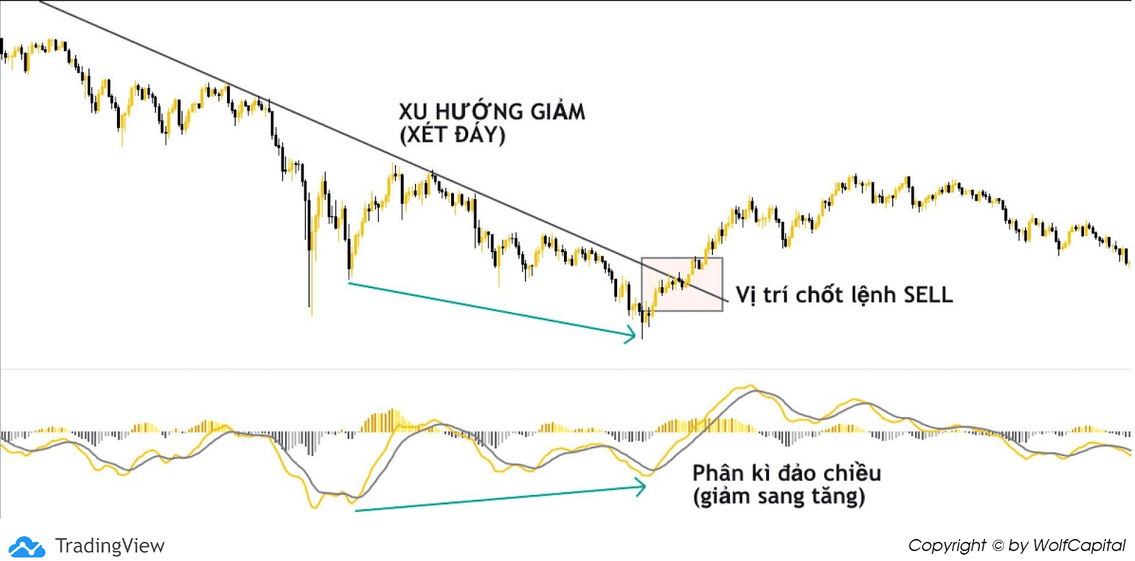 Ở xu hướng giảm thì xét đáy