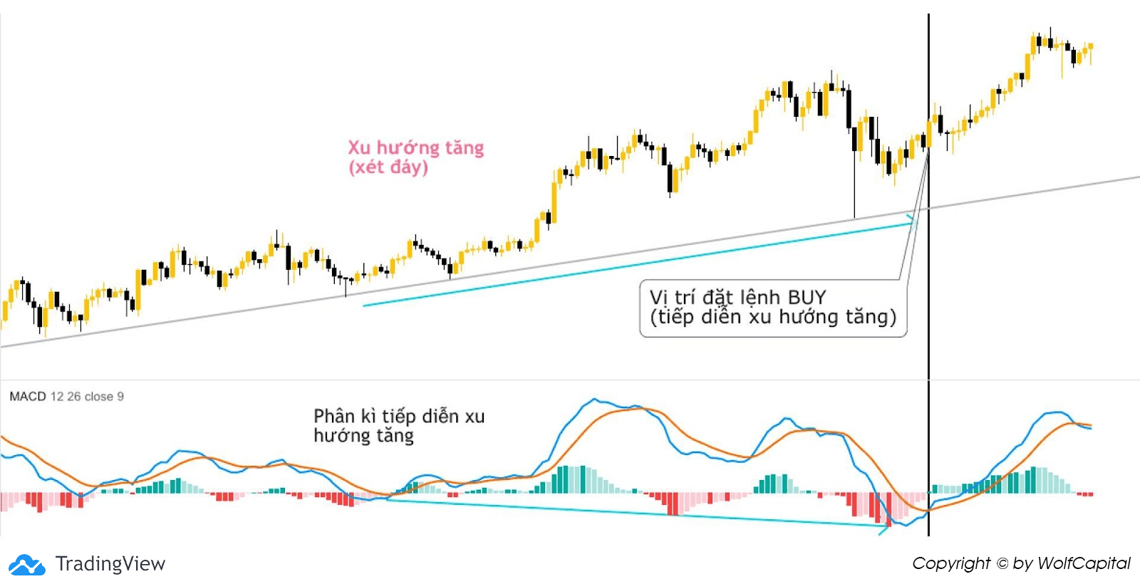 Ở xu hướng tăng thì xét đáy