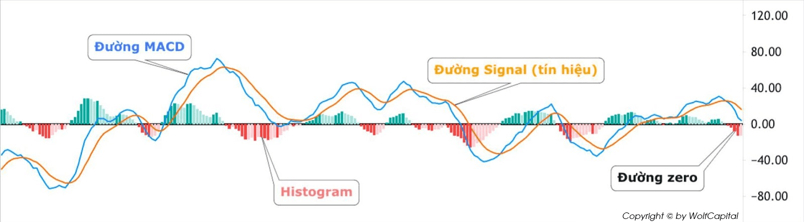 Cấu tạo của một chỉ báo MACD