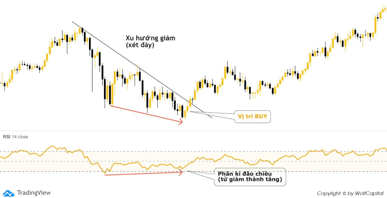 Ở xu hướng giảm ⇒ Xét đáy