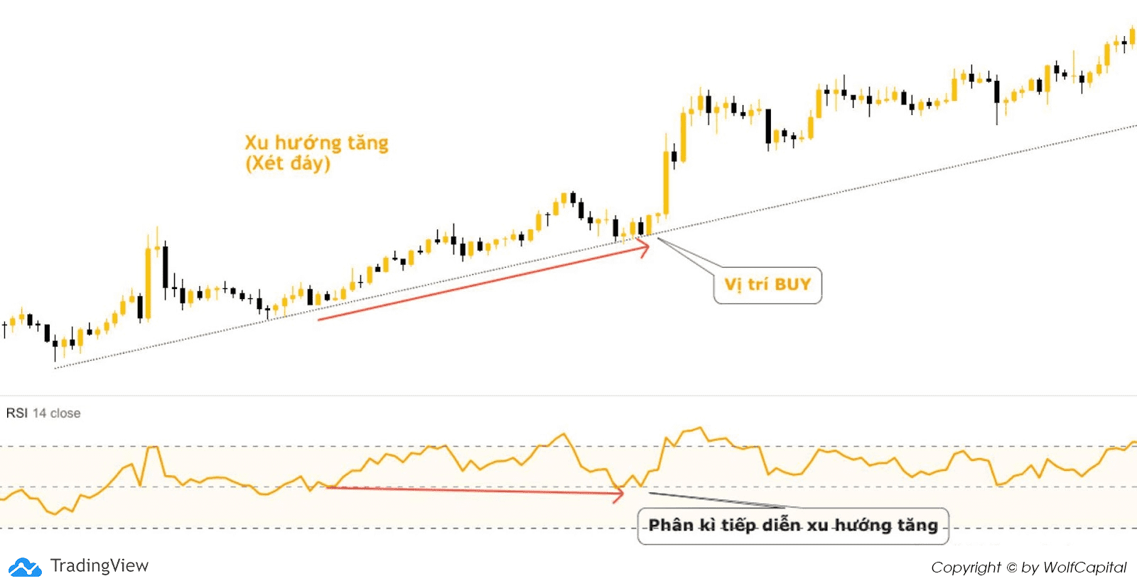 Ở xu hướng tăng ⇒ Xét đáy