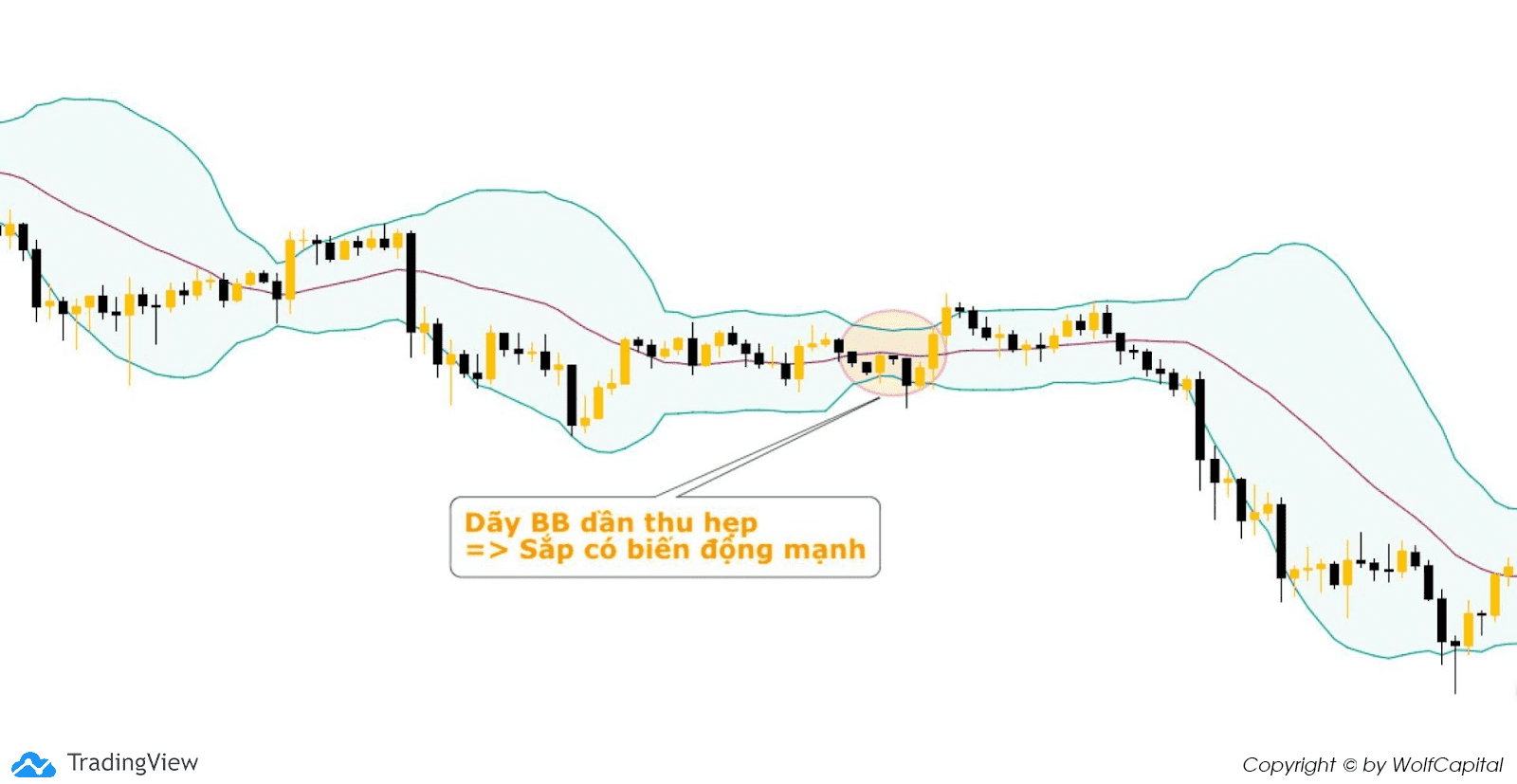 Bollinger Bands thu hẹp