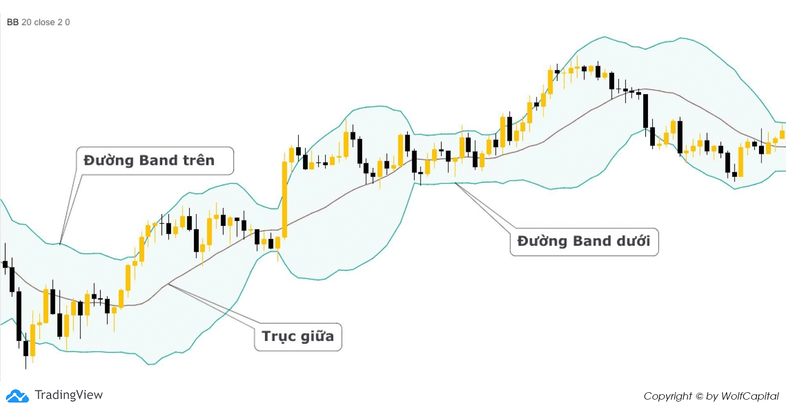 Cấu tạo của chỉ báo Bollinger Band