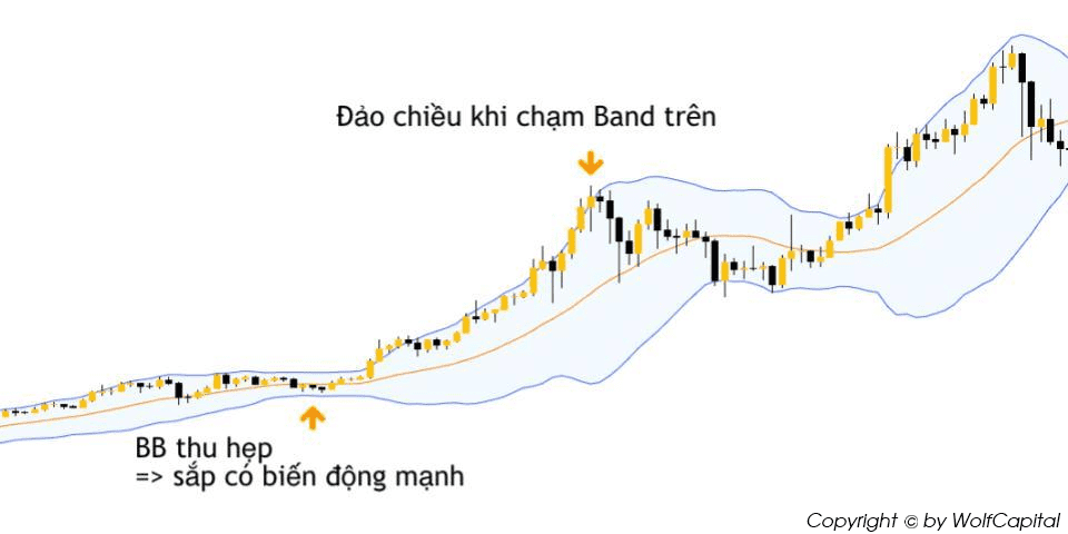 Cách hoạt động của dải Bollinger Band