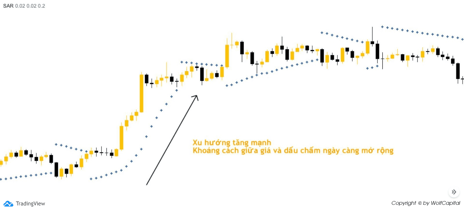 Khi xu hướng thị trường tăng mạnh