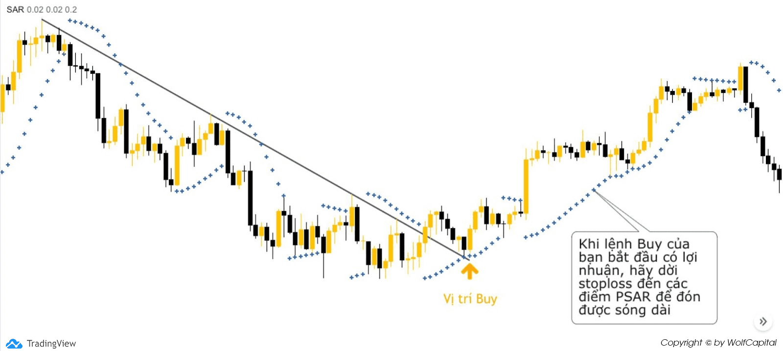 Đặt Trailing Stop để theo các con sóng dài