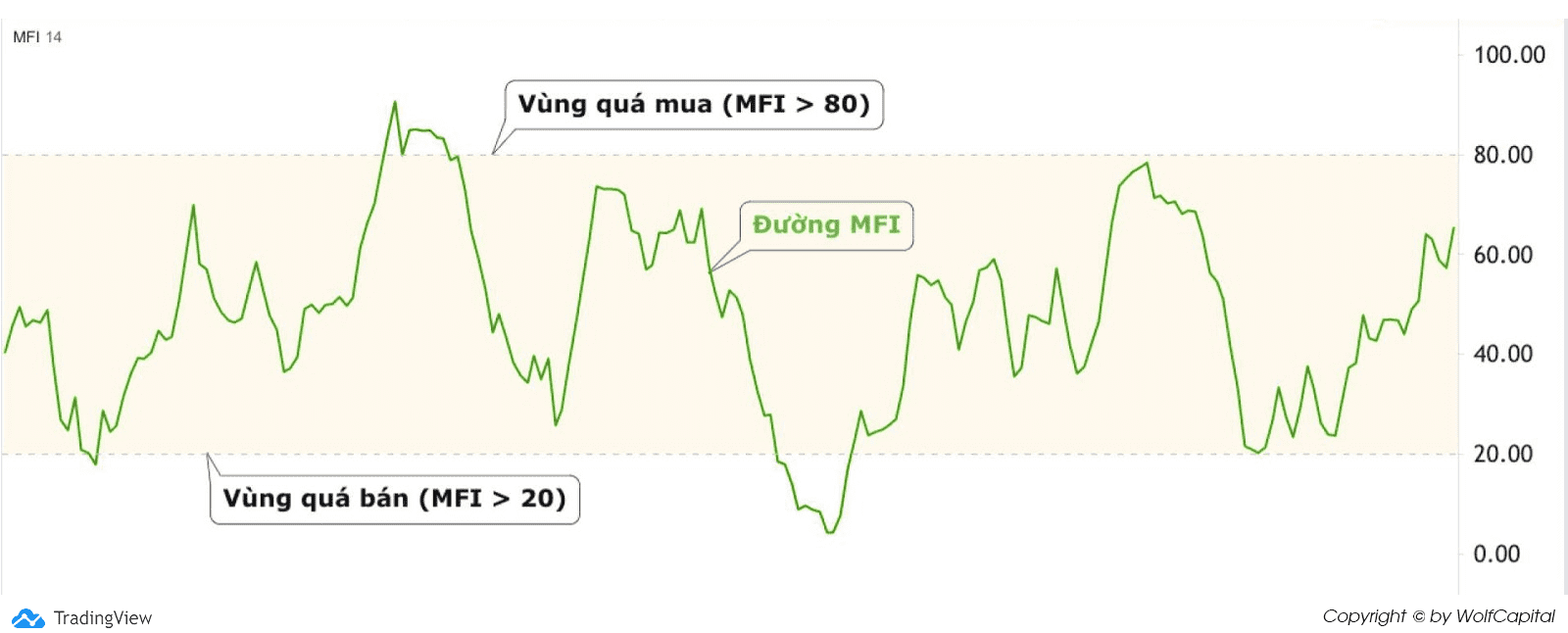 Cấu tạo chỉ báo MFI (MFI Indicator)