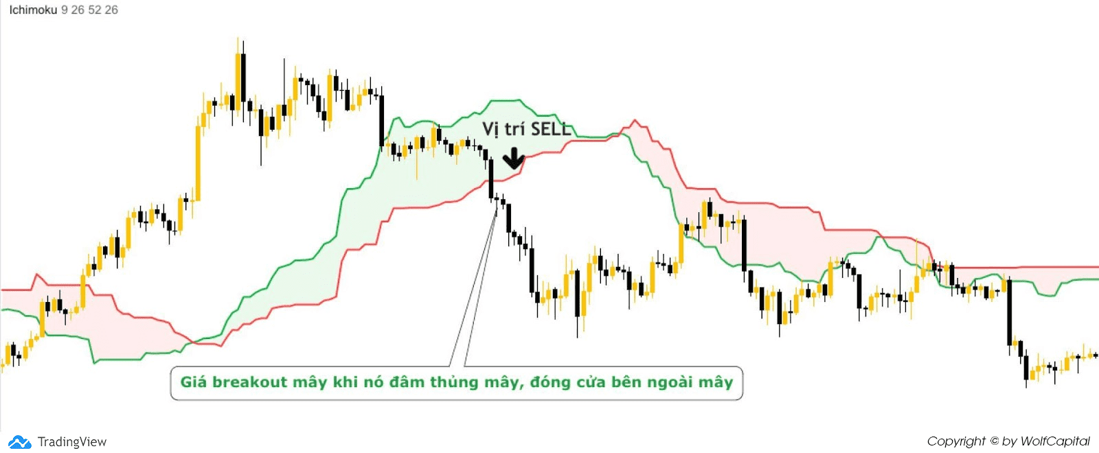 Thị trường đang trong xu hướng giảm