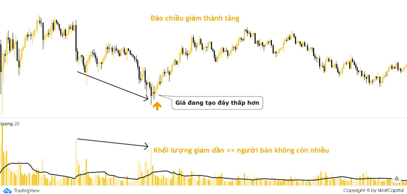 Sự đảo chiều trong xu hướng giảm