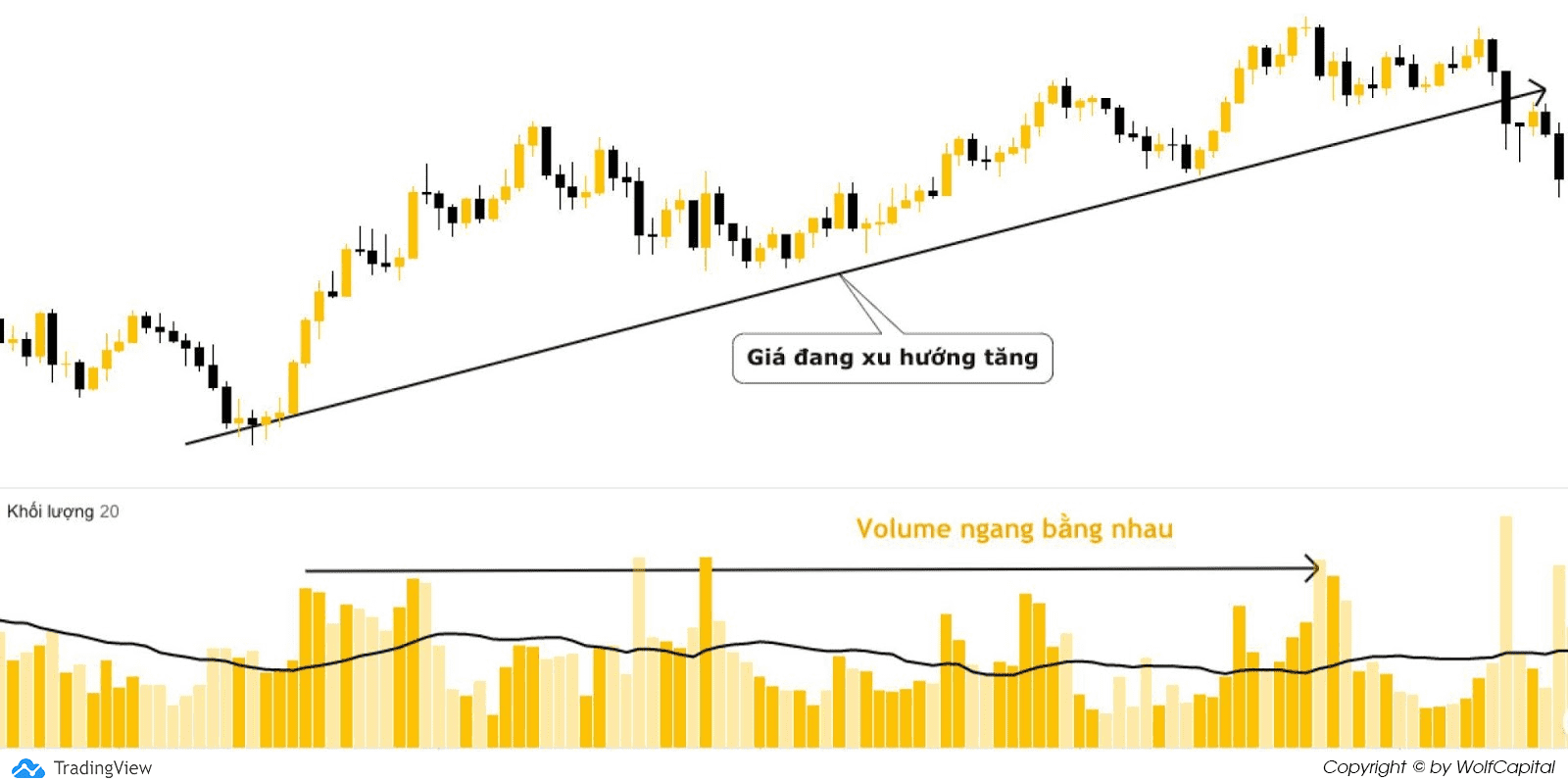 Thị trường đang bị làm giá