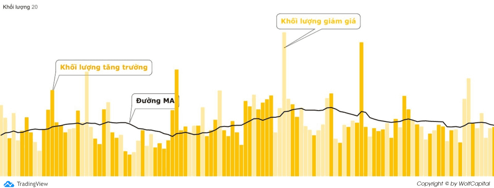 Cấu tạo chỉ báo Volume