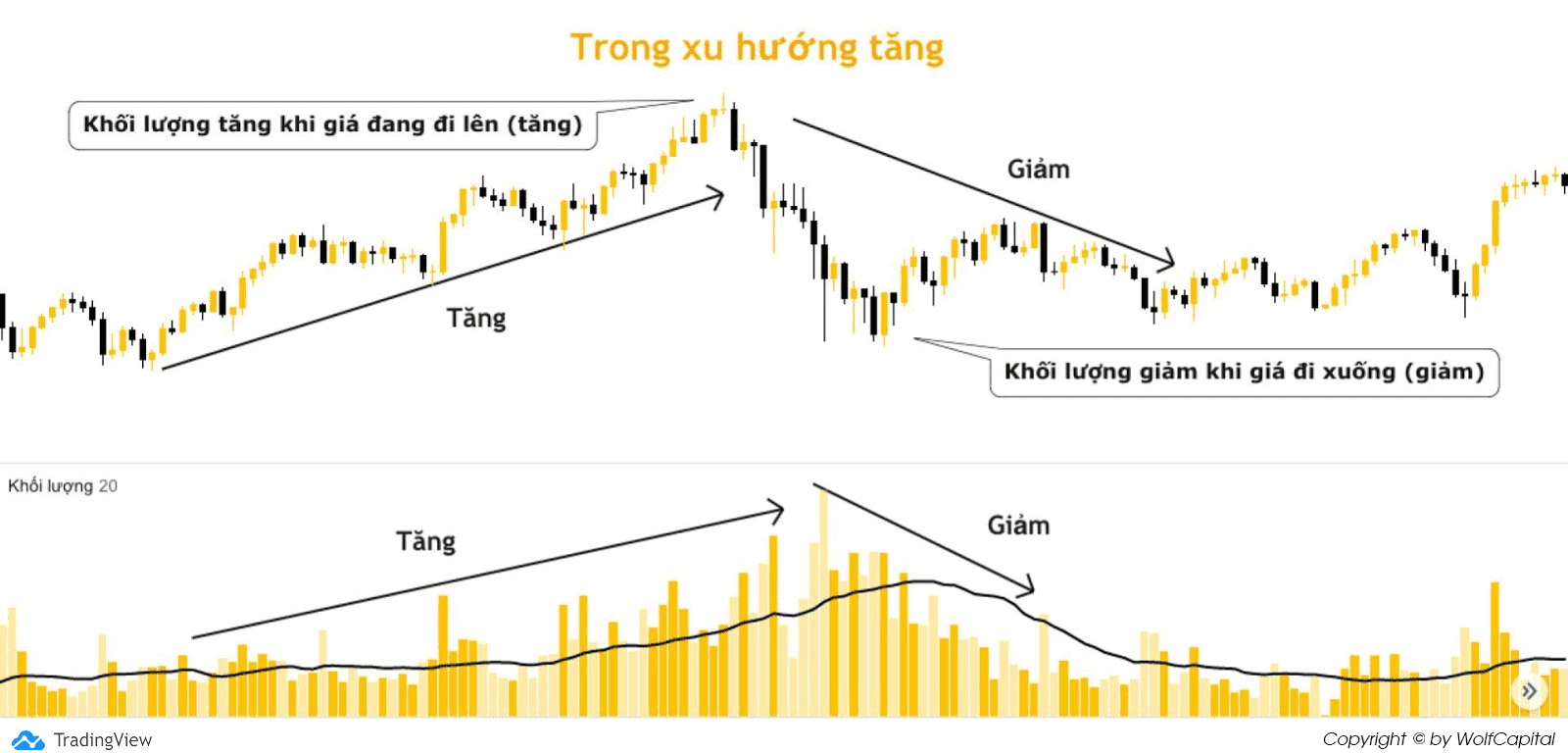 Khối lượng giao dịch trong xu hướng tăng