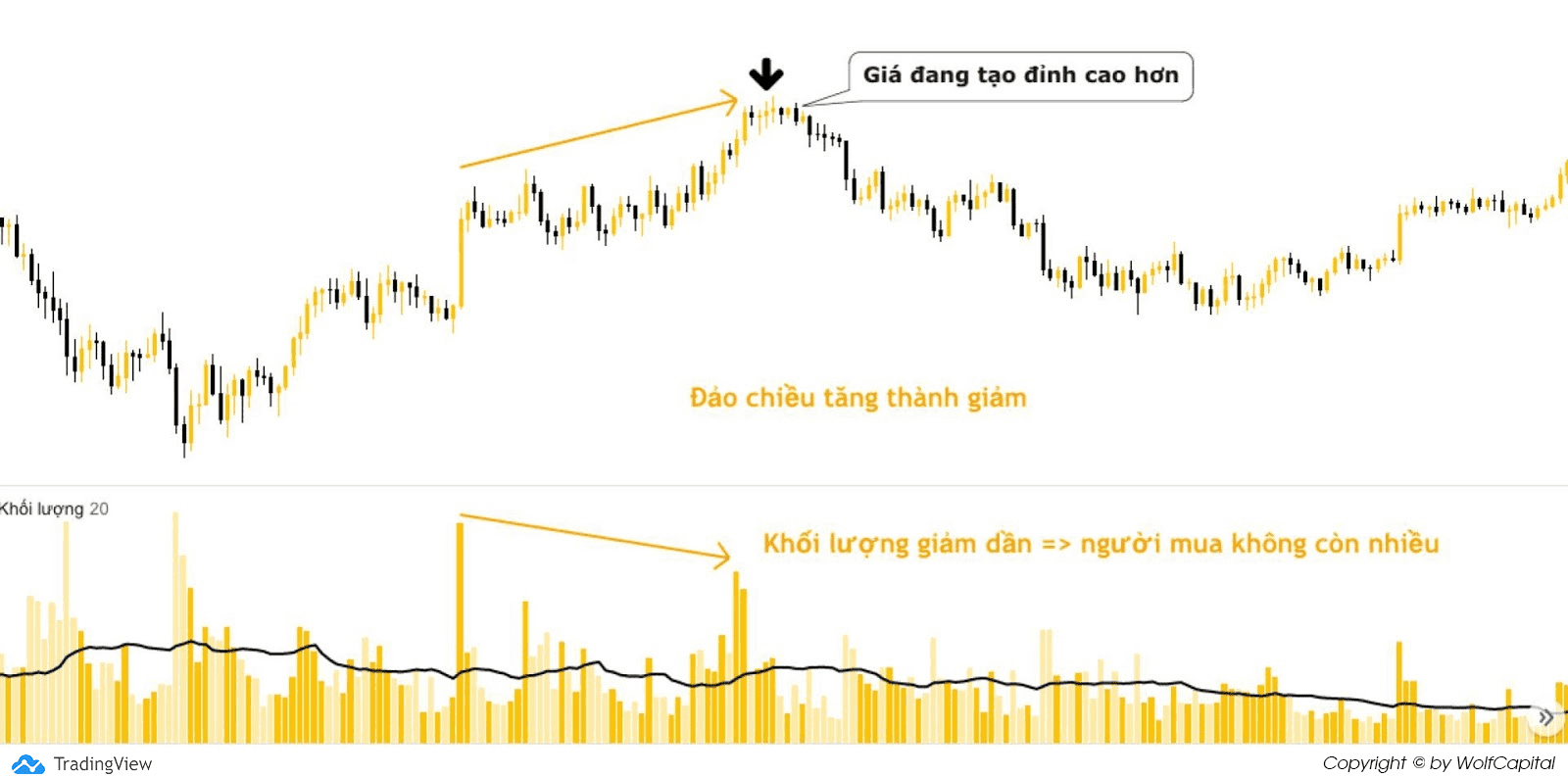 Sự đảo chiều trong xu hướng tăng