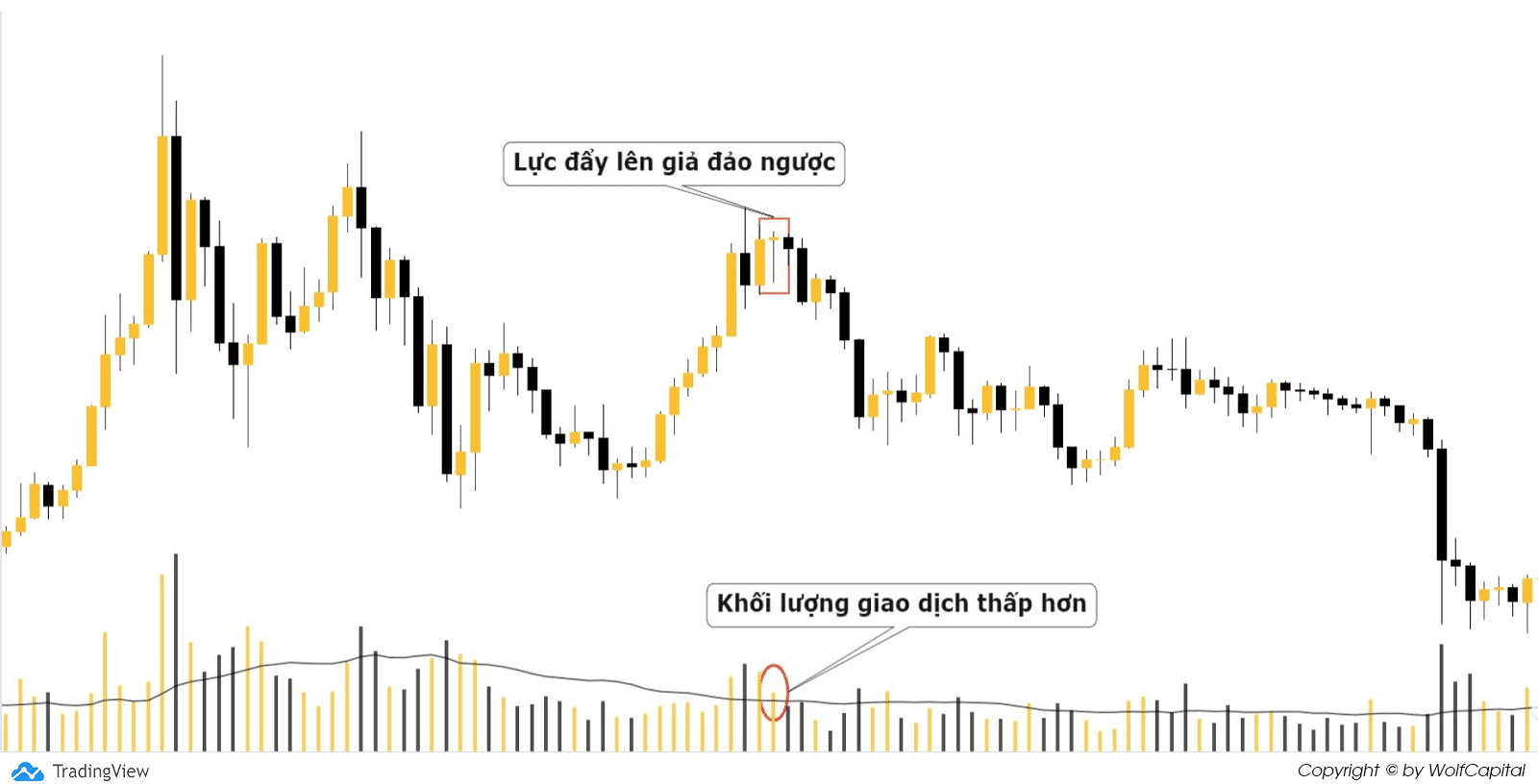 Mẫu hình Inverse Pseudo Upthrust Bar