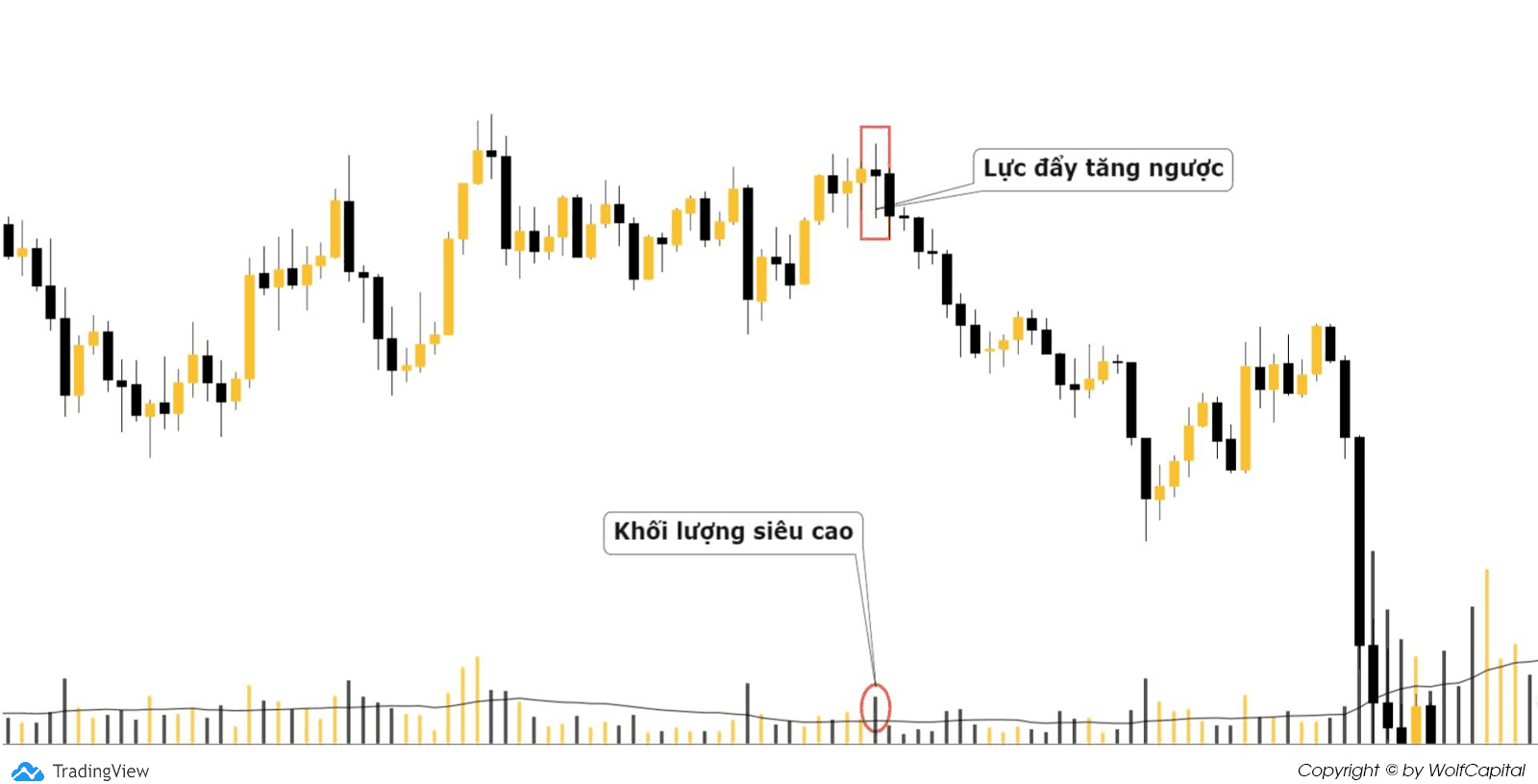 Mẫu hình Inverse Inverse Upthrust