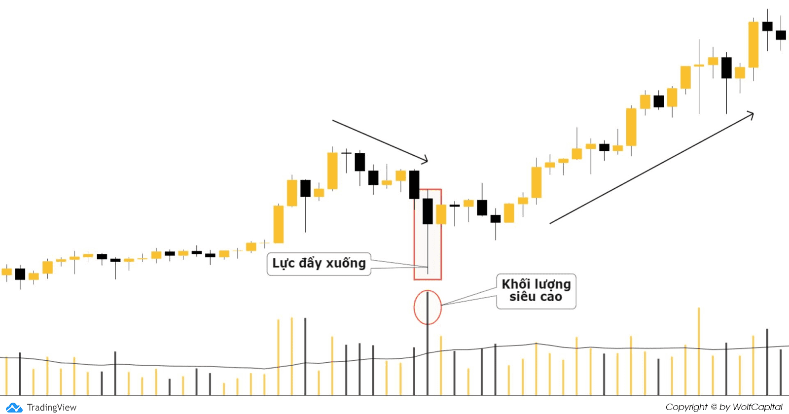 Mẫu hình Down Thrust