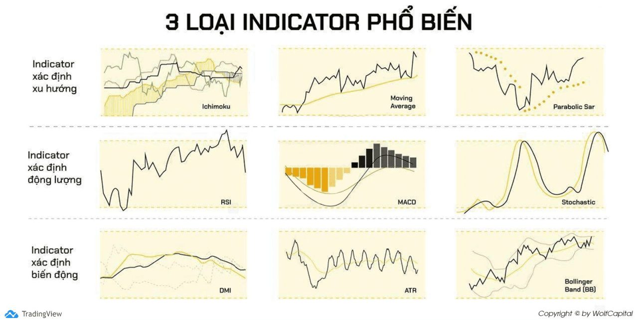 Các loại chỉ báo phổ biến