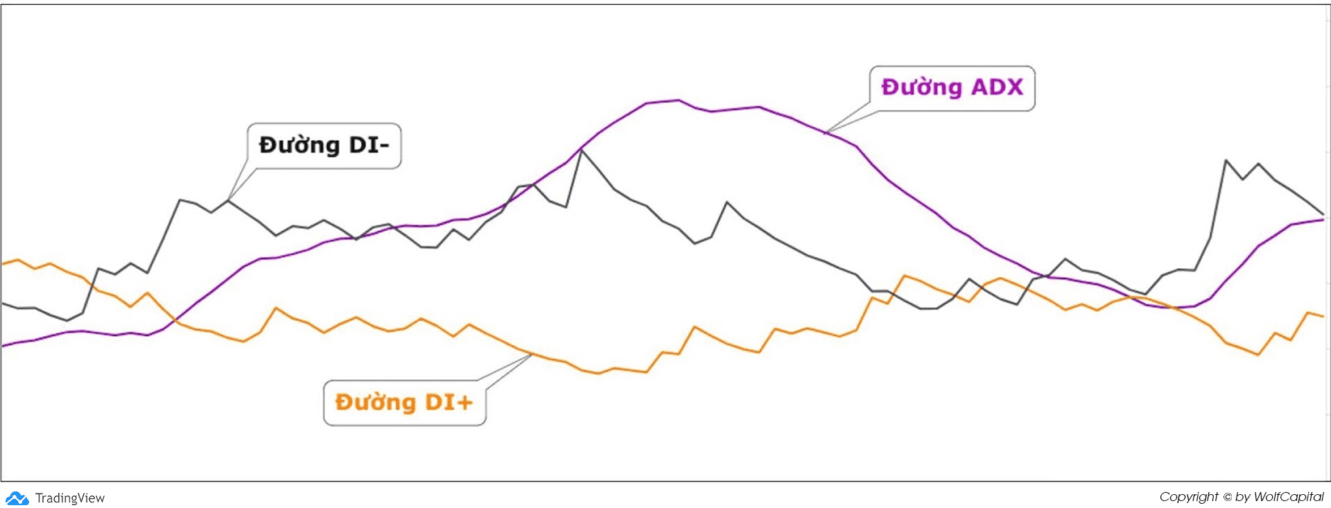 Chỉ báo Directional Movement Index (DMI)