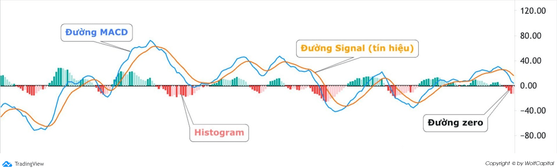 Cấu tạo chỉ báo MACD