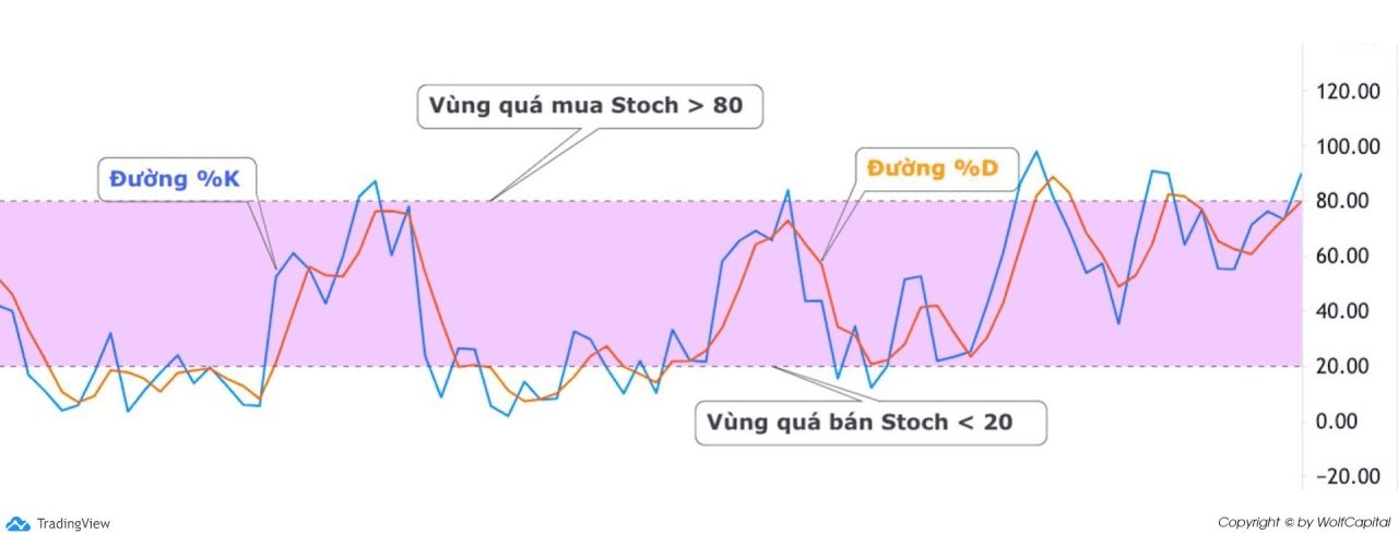 Cấu tạo chỉ báo Stoch