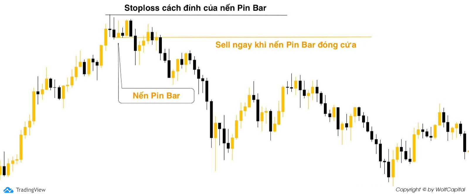 Sell ngay khi Pin Bar đóng nến