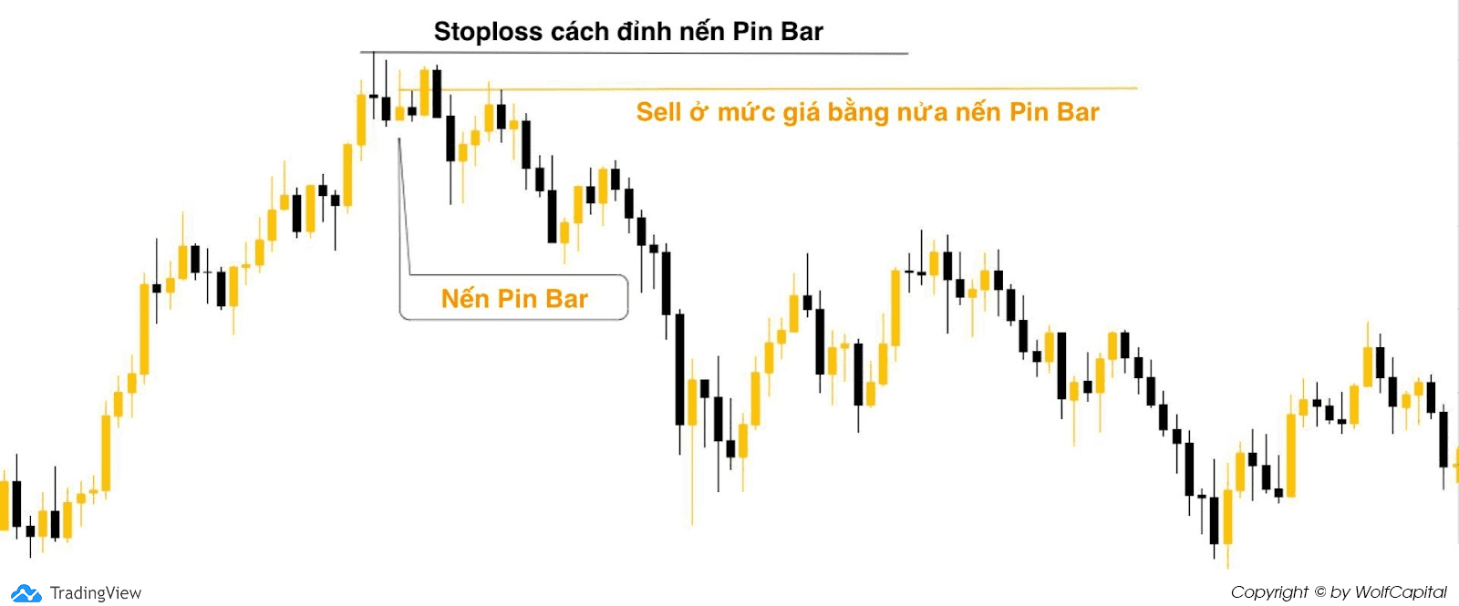 Sell Limit ở mức giá bằng nửa nến Pin Bar