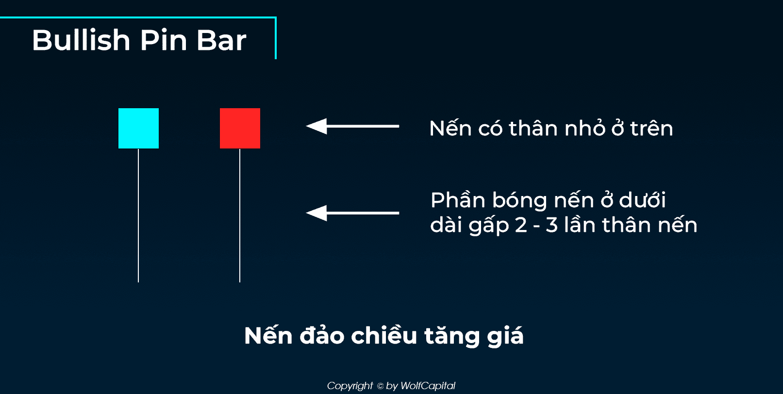 Nến đảo chiều tăng giá (Bullish Pin Bar)