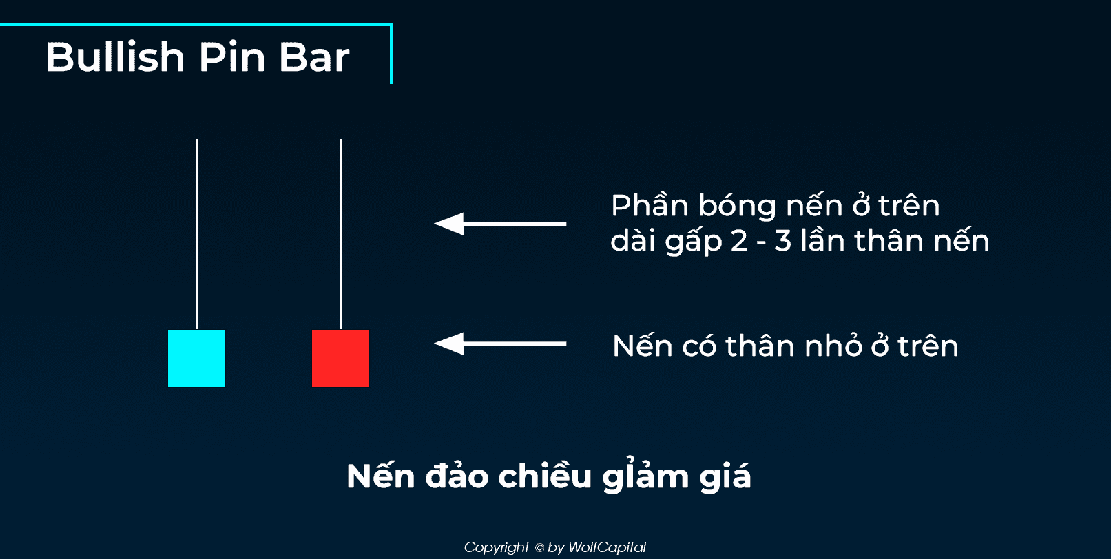 Nến đảo chiều giảm giá (Bullish Pin Bar)