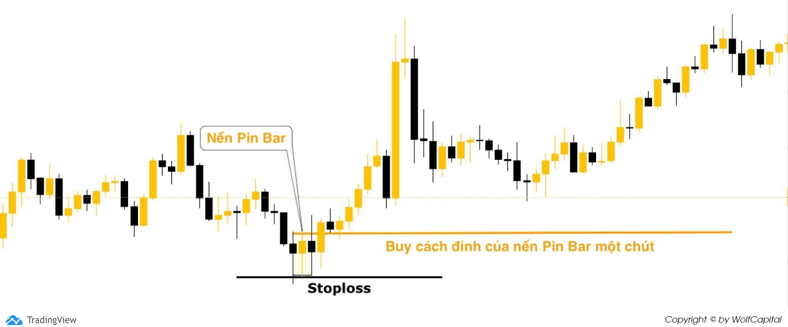 Nến Pin Bar đóng cửa, bạn hãy đặt lệnh Buy (Buy stop)