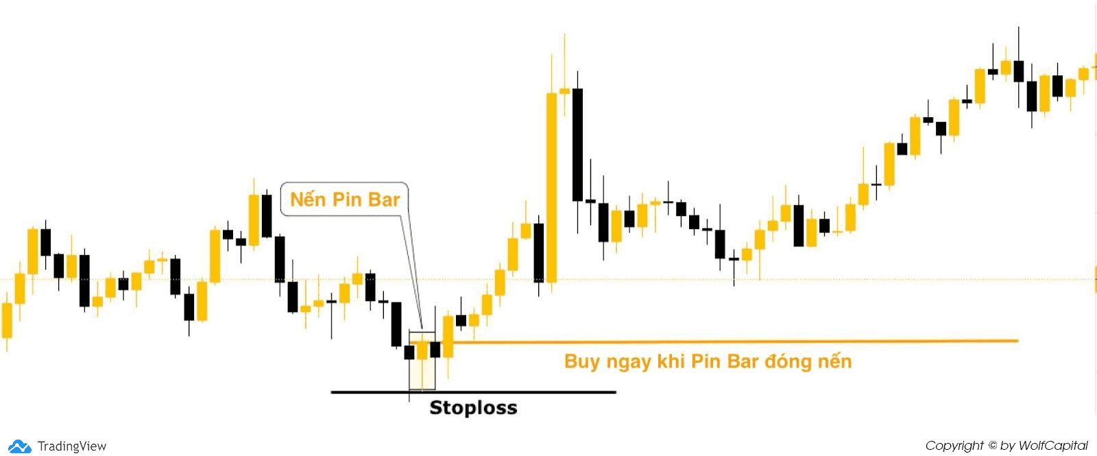 Đặt lệnh Buy ngay khi Pin Bar đóng nến