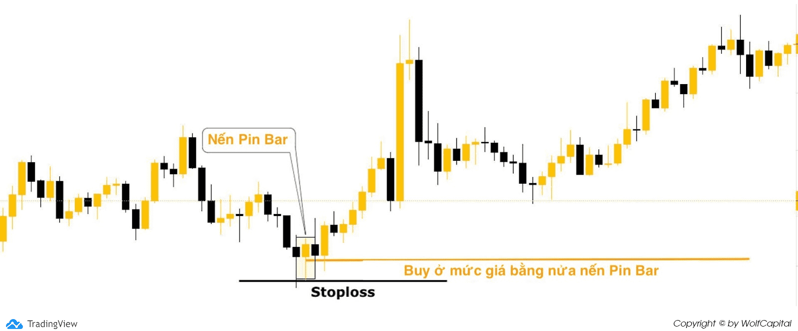 Đặt lệnh Buy (Buy Limit) ở mức giá bằng nửa nến Pin Bar