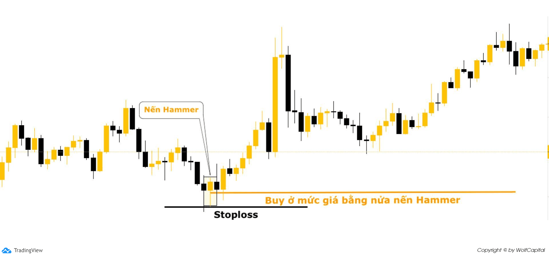 Đặt lệnh Buy (Buy Limit) ở mức giá bằng nửa nến Hammer