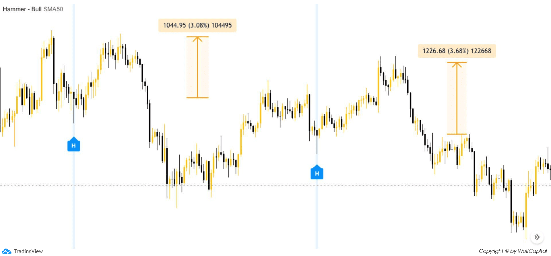 Chart sử dụng chỉ báo Hammer-Bullish