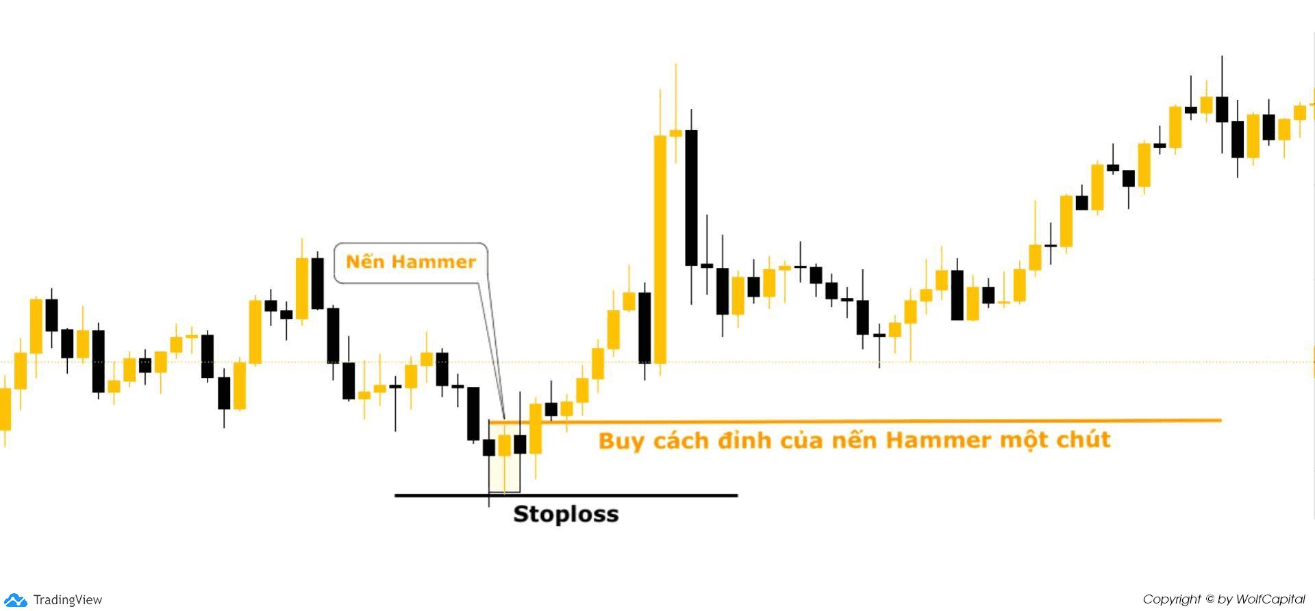 Nến Hammer đóng lại, bạn hãy đặt lệnh Buy (Buy stop)