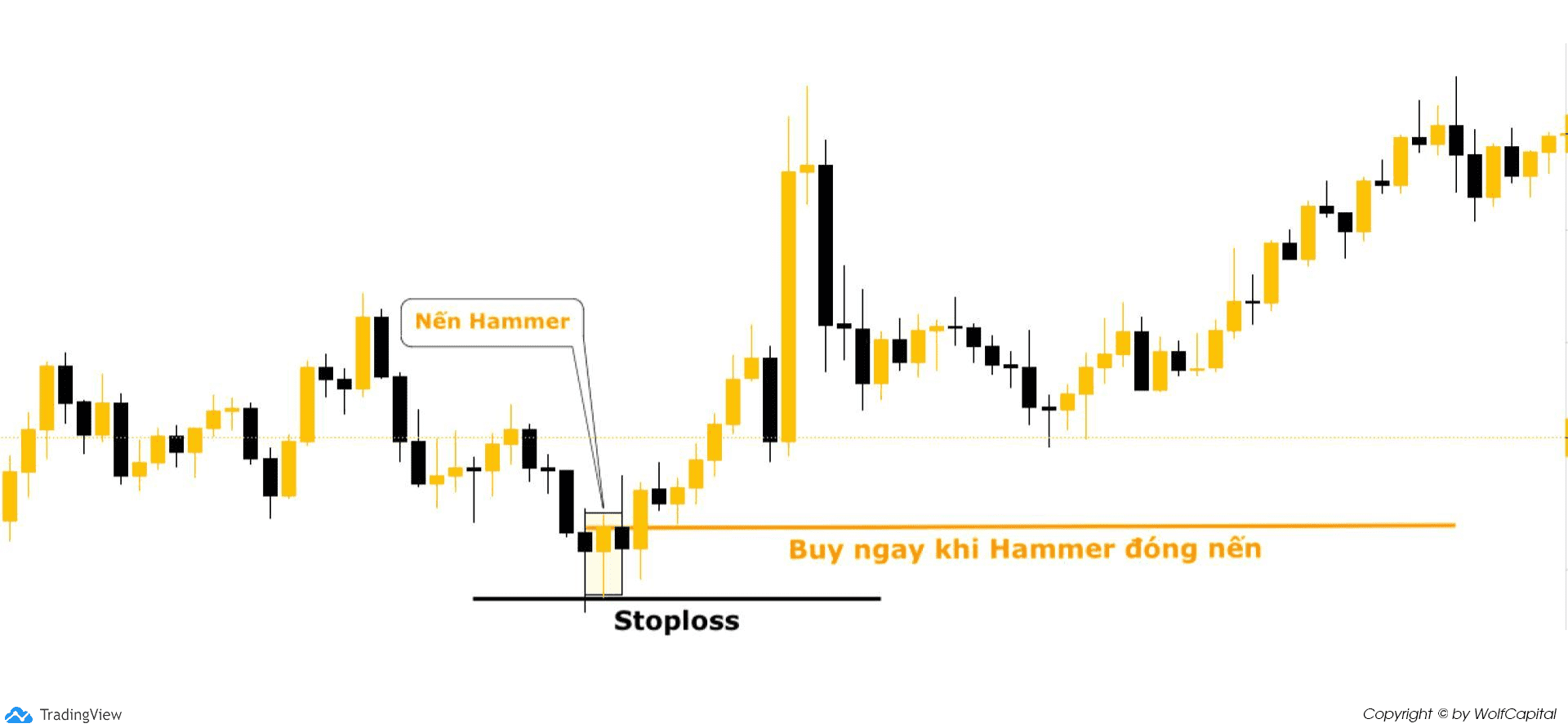 Đặt lệnh Buy ngay khi Hammer đóng nến