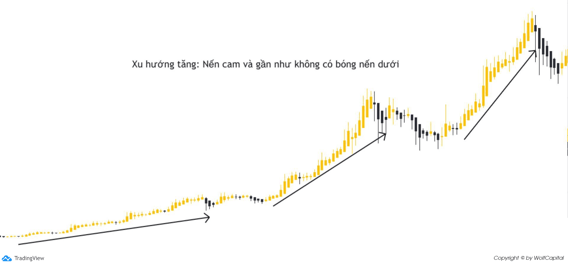 Xu hướng tăng Heiken Ashi được xây dựng chủ yếu bằng nến tăng (cam)