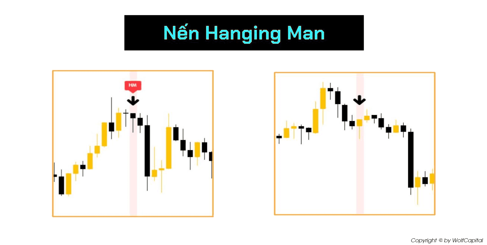 Nến Hanging Man thể hiện một nỗ lực tạo đỉnh mới không thành công