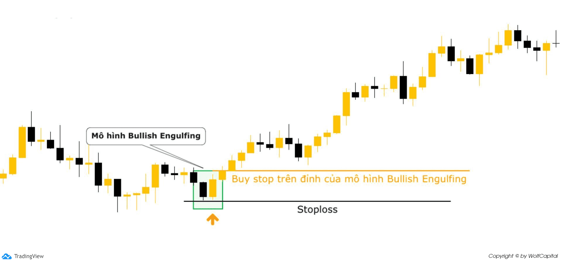 Đặt lệnh Buy stop trên đỉnh của mô hình nến