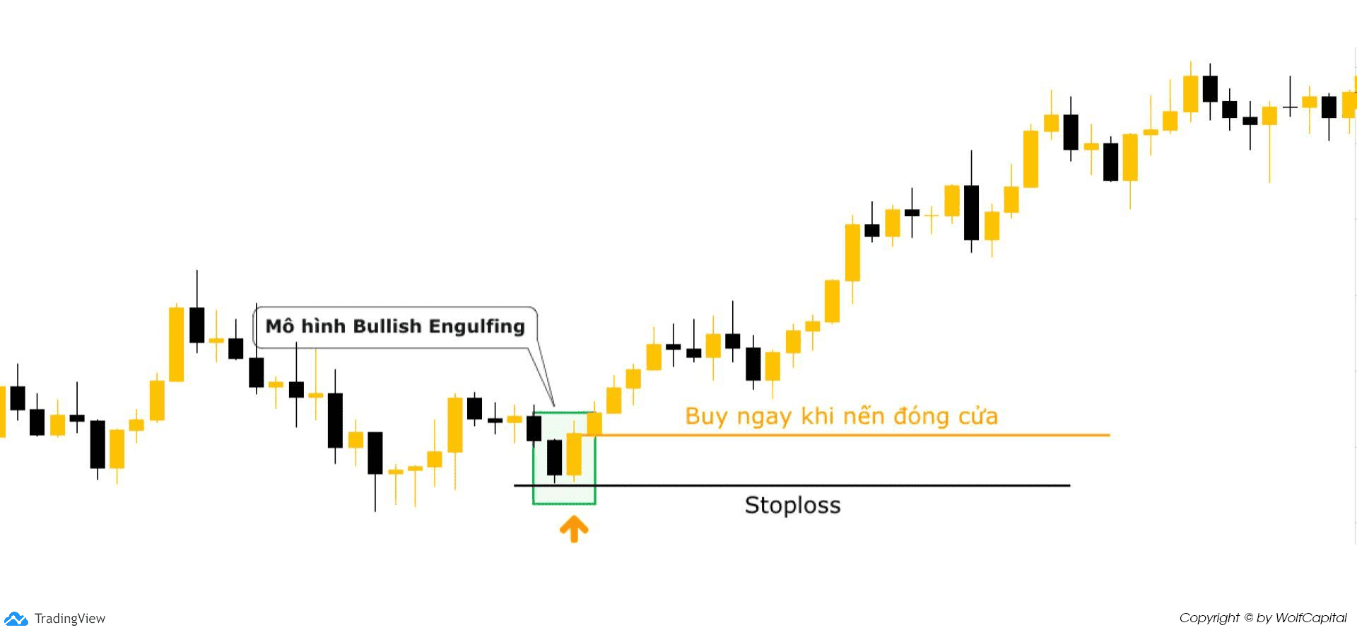 Đặt lệnh Buy ngay khi Nến tăng đóng cửa