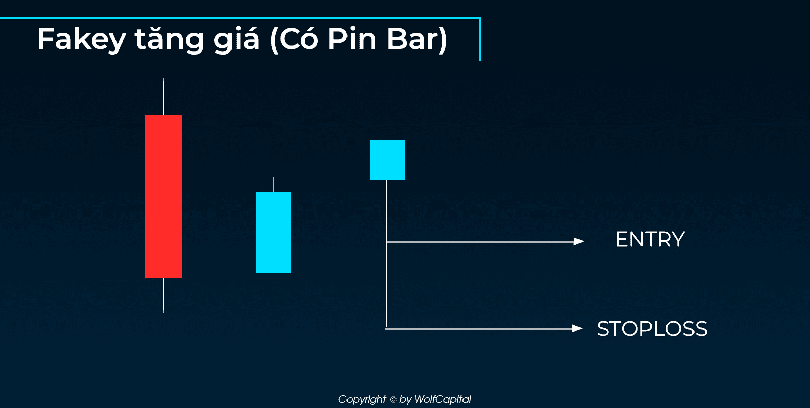 Vào lệnh 1/2 Pin Bar khi Fakey tăng giá (có Pin Bar)