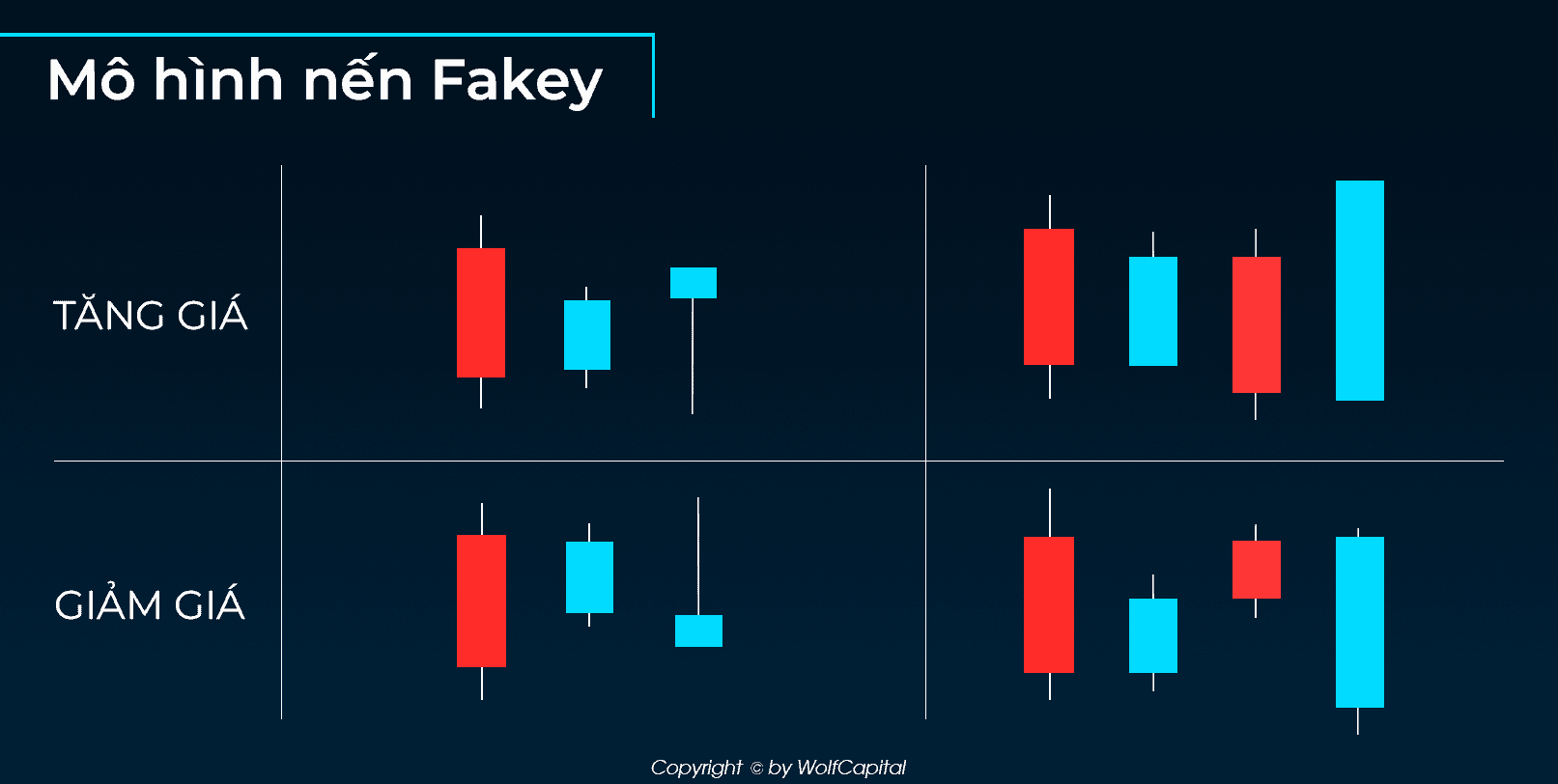 Phân loại mô hình nến Fakey