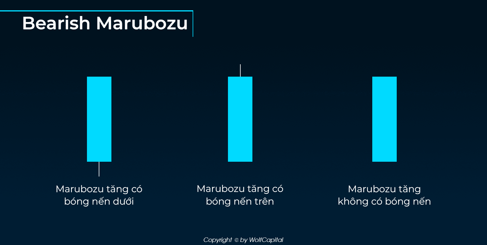 Bullish Marubozu (nến Marubozu tăng)