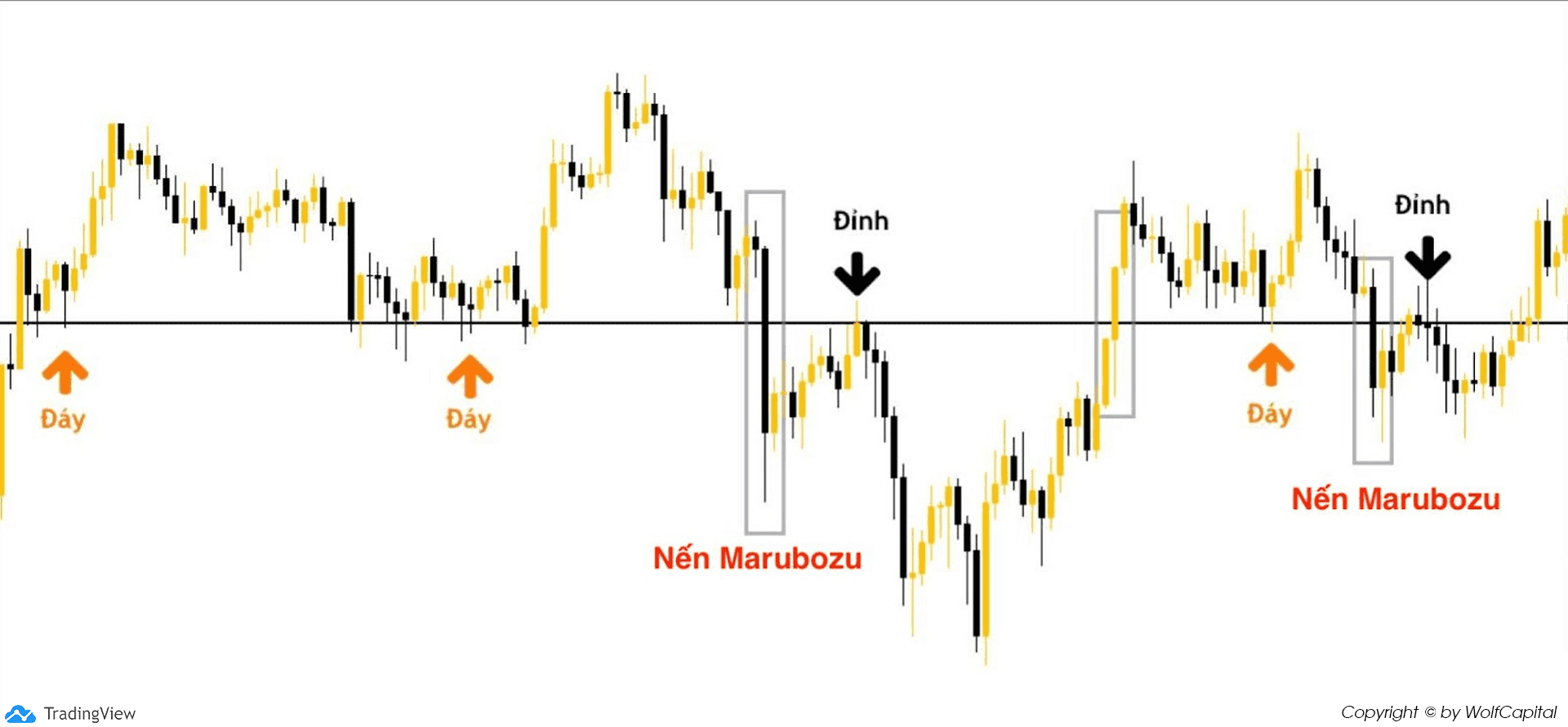 Nến Marubozu xác nhận các vùng hỗ trợ kháng cự