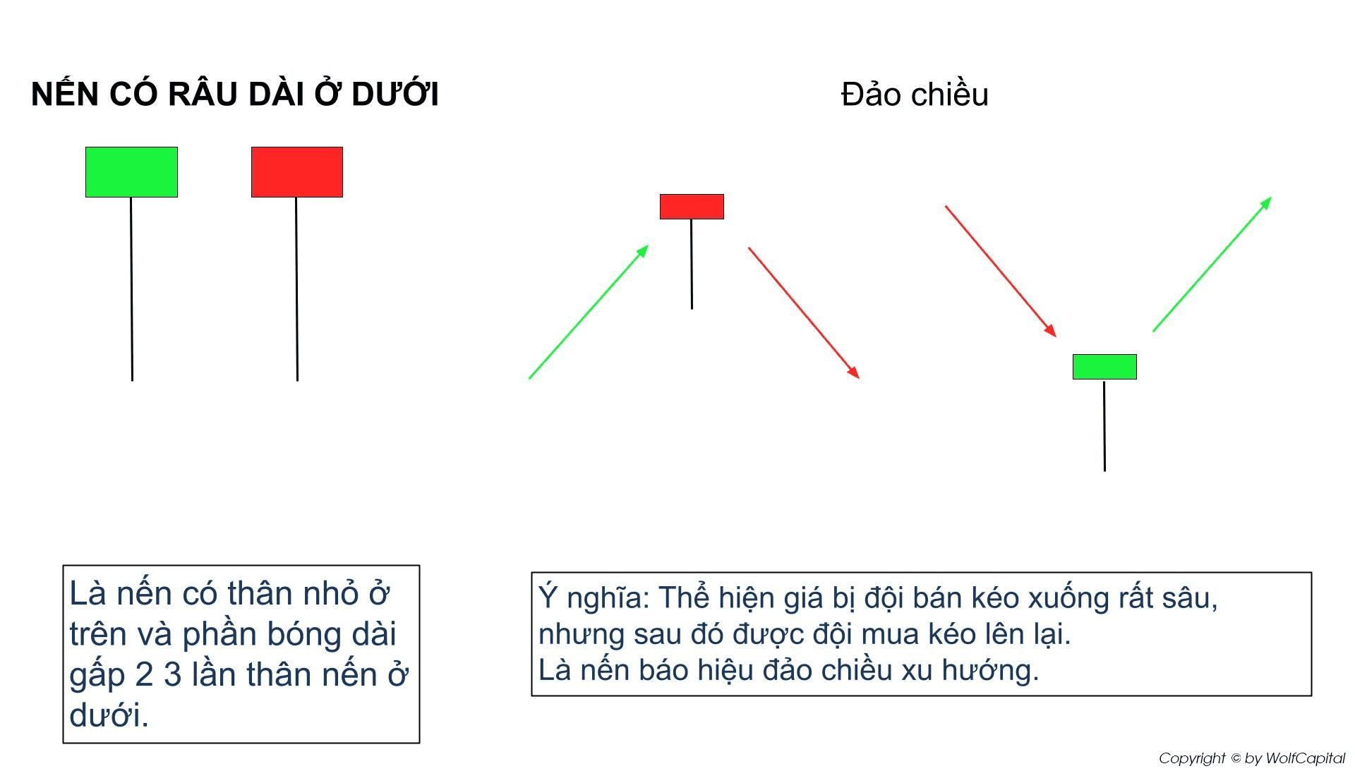 Cấu tạo nến có râu dài ở dưới