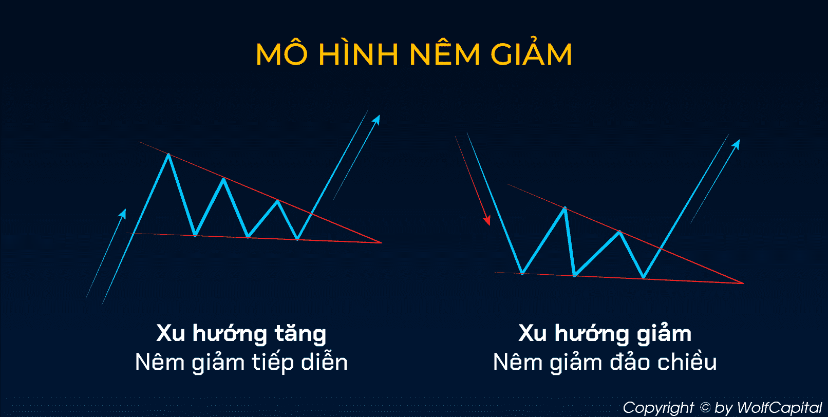 Mô hình nêm giảm